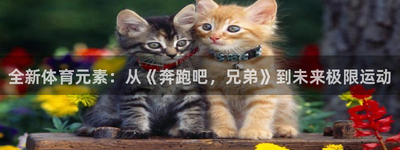 oety欧亿体育官网下载平台：全新体育元素：从《奔跑