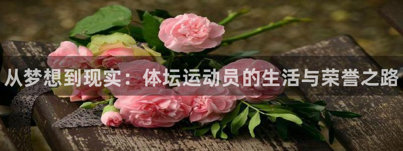 oety欧亿体育官网下载招商电话地址查询：从梦想到现