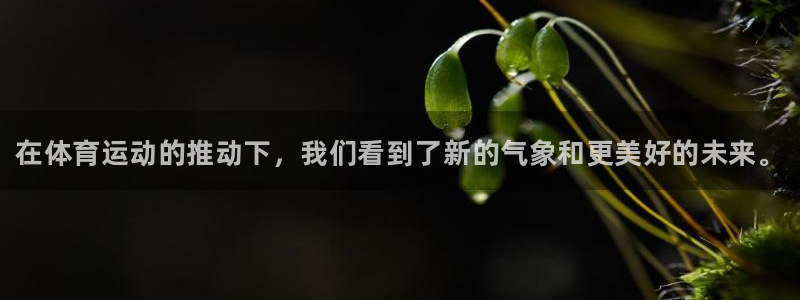 oety欧亿体育官网下载平台注册要钱吗是真的吗：在体