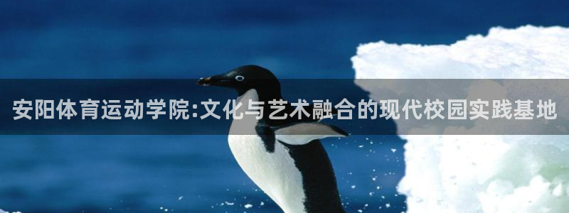 欧亿体育官方正版app官网：安阳体育运动学院:文化与