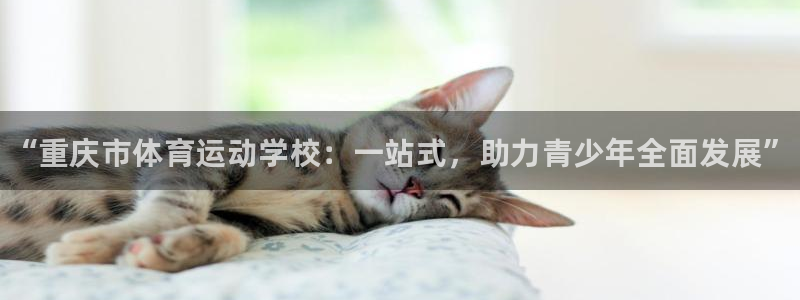 oety欧亿体育官网下载：“重庆市体育运动学校：一站式，助力