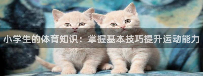 欧亿体育官方正版app五金厂：小学生的体育知识：掌握基本技巧