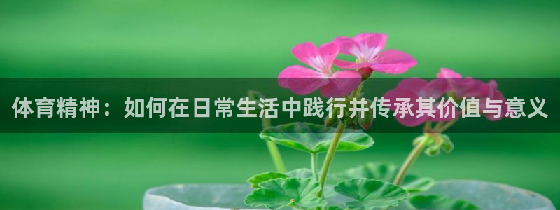 oety欧亿体育官网下载招商电话地址：体育精神：如何在日常生