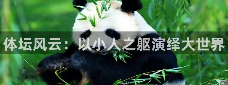 欧亿平台最新登录地址是什么：体坛风云