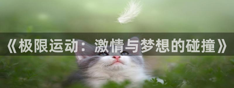 OE欧亿|官网：《极限运动：激情与梦