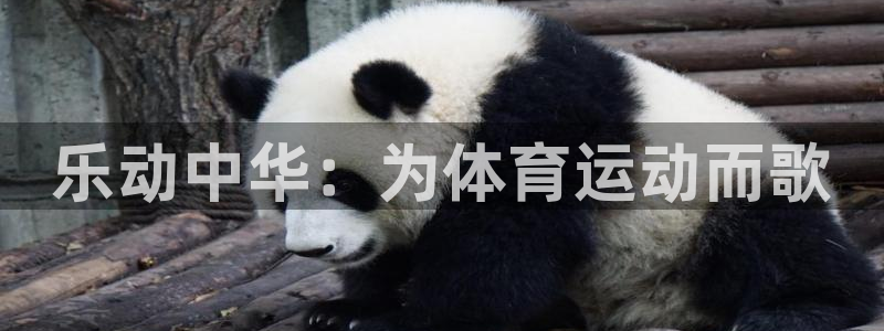 欧亿官网最新下载.官网app.中国：