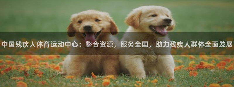 oe欧亿平台注册：中国残疾人体育运动