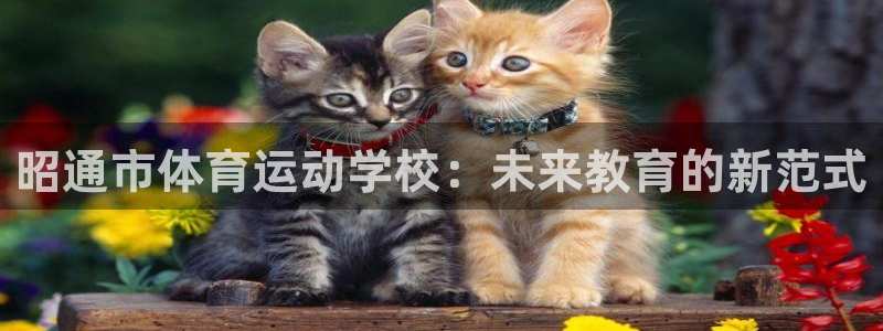 欧亿注册官网：昭通市体育运动学校：未