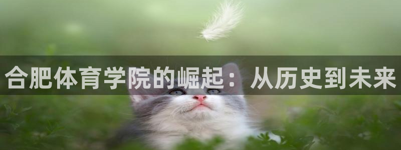 欧亿平台首页：合肥体育学院的崛起：从