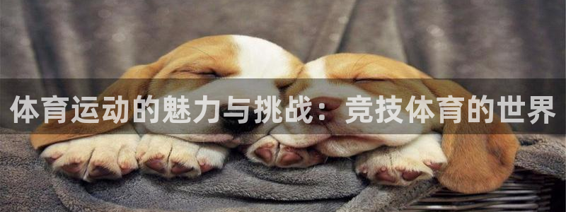 oety欧亿体育网业：体育运动的魅力
